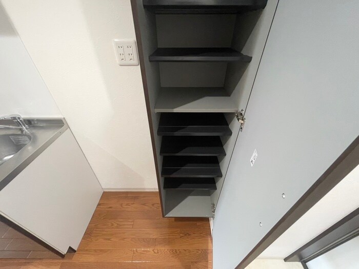 ワコーレヴィータ大開ステーシアの物件内観写真