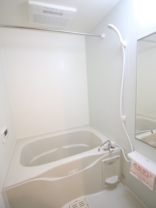 プラシードカーサの物件内観写真