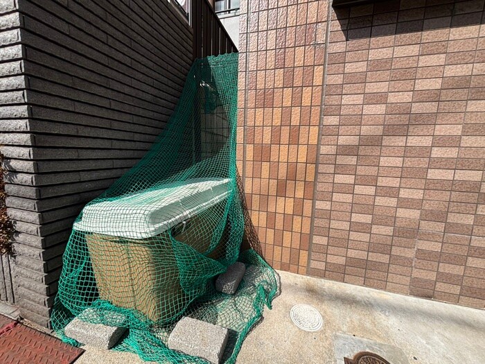 ＣＡＲＰＩＯ ８５の物件外観写真