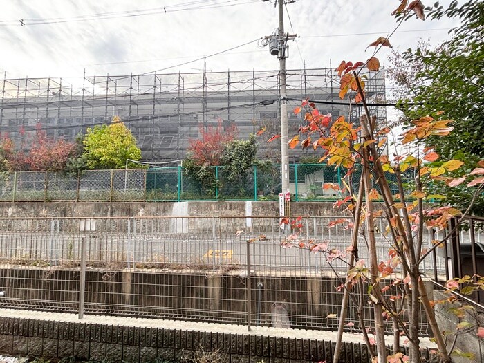 フィオーレつつみⅢの物件内観写真