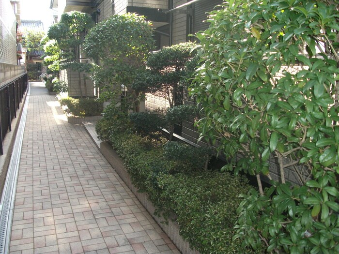 グレイスコ－トの物件外観写真