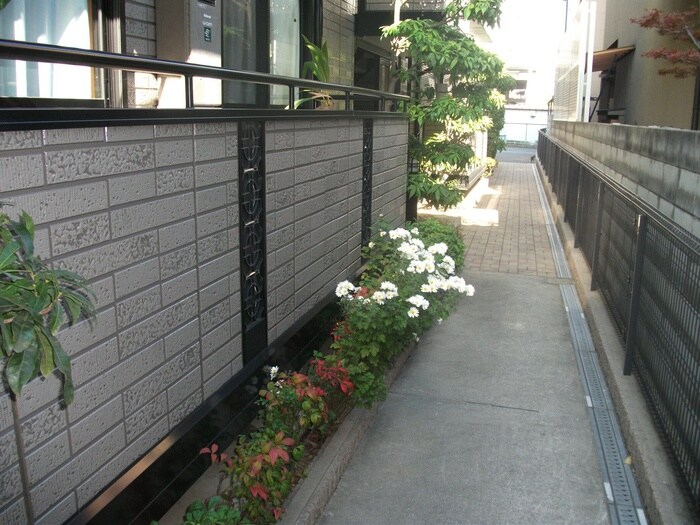 グレイスコ－トの物件外観写真