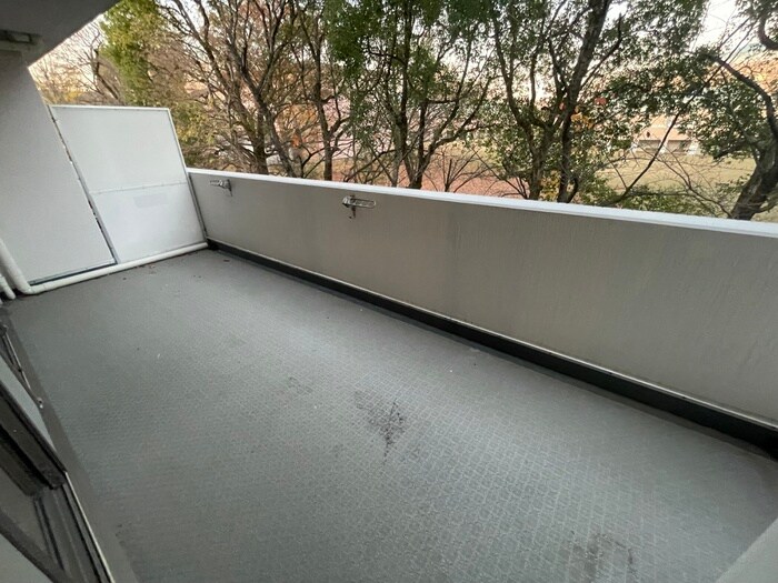 C&Cﾛｰｽﾞｶﾞｰﾃﾞﾝの物件内観写真