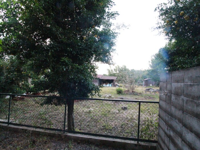 シャトー竹宇の物件内観写真