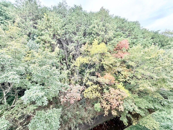 ＣＡＳＡ ＶＥＲＤＥの物件内観写真