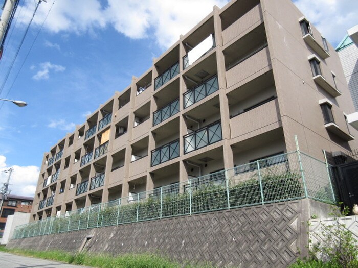 ﾌﾟﾘﾑﾍﾞｰﾙ向丘の物件外観写真