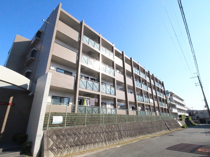 ﾌﾟﾘﾑﾍﾞｰﾙ向丘の物件外観写真