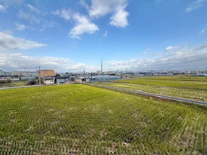 ハイツタイガ－の物件内観写真