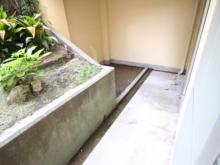 白井マンションの物件内観写真