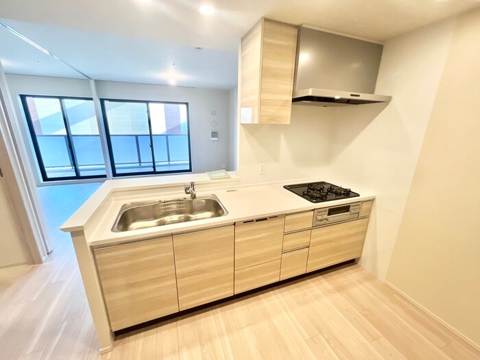 パークホームズLaLa門真(302)の物件内観写真