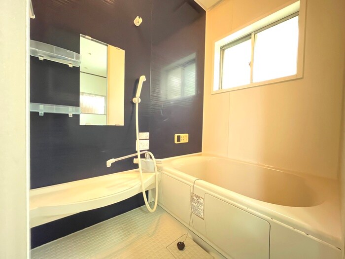 平池町一戸建の物件内観写真