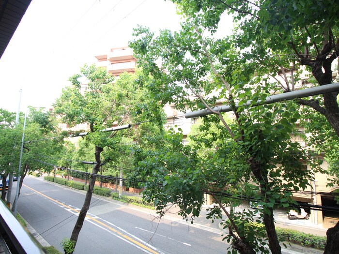 グリーンロータスⅠの物件内観写真