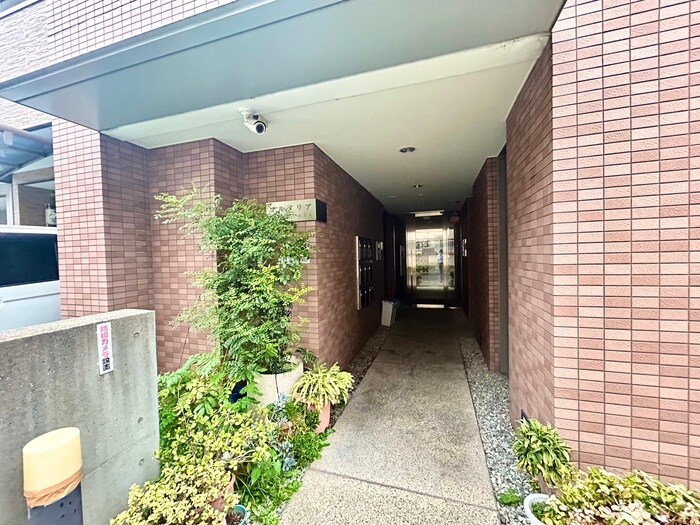 プルメリアの物件外観写真