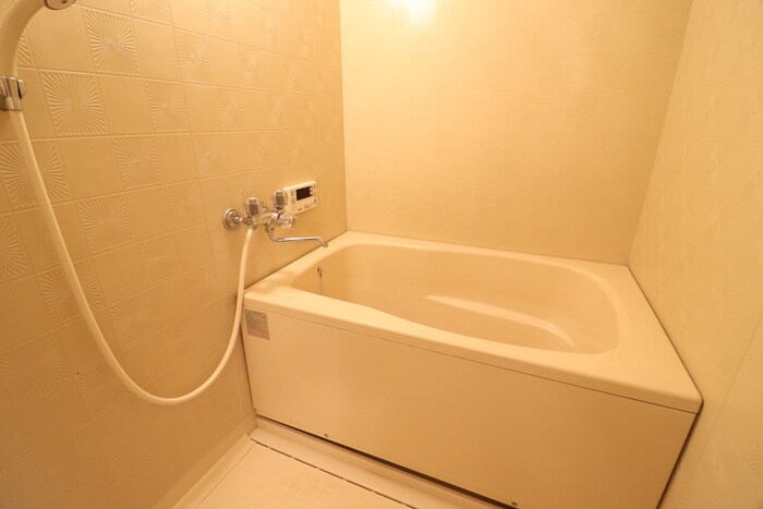 ネオ・デンクマ－ル１号館の物件内観写真