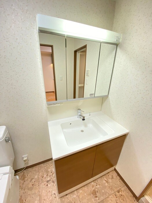 レオンズビルの物件内観写真