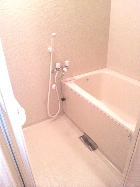 ベルドミ－ル洛南の物件内観写真