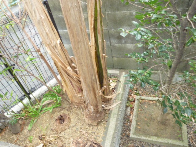 サニーハイツ香里園の物件内観写真