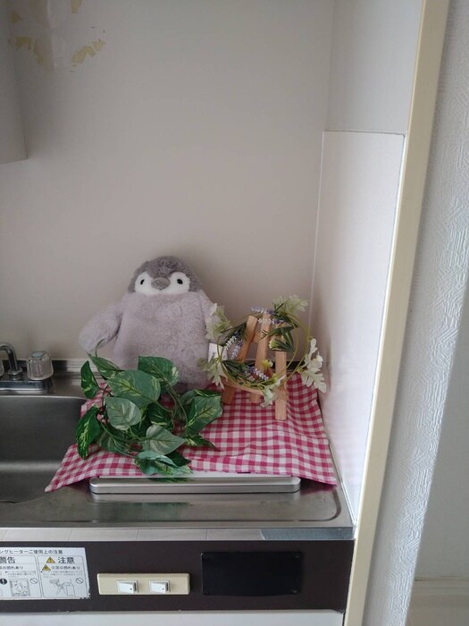 ドゥエルミヤザキの物件内観写真