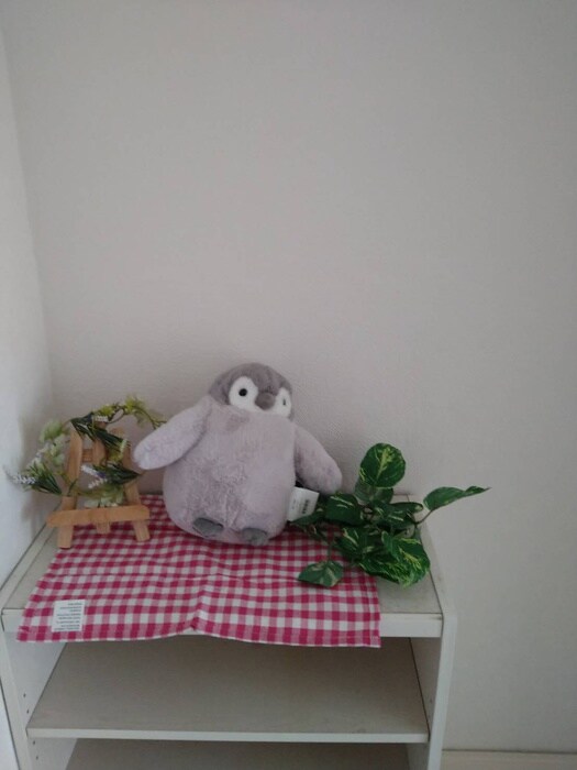 ドゥエルミヤザキの物件内観写真