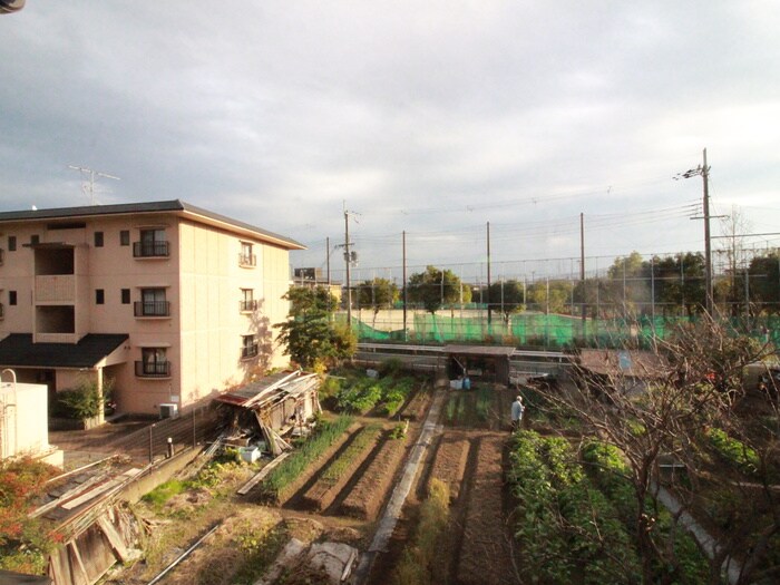 エタ－ナルウッドの物件内観写真