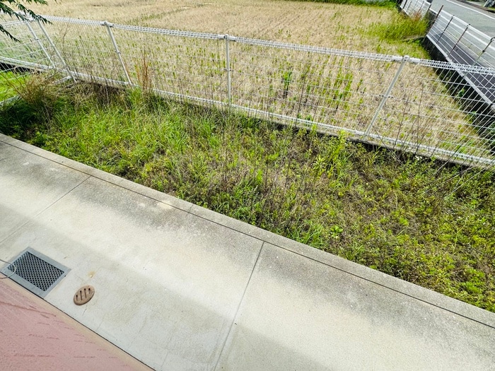 ボナミ田中ハイツの物件内観写真