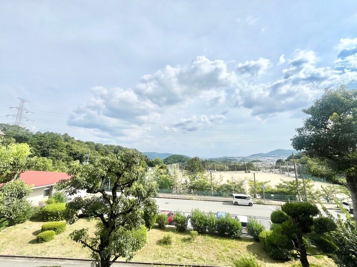 グリーンハイツ向陽２号棟(23)の物件内観写真