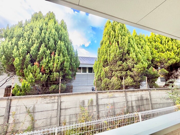 Ｎａｔｕｒａｌ－ｍａｉｓｏｎの物件内観写真