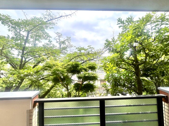 ヒルサイドテラス甲陽園の物件内観写真