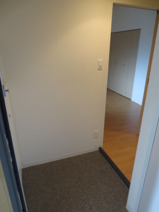 Ｖｉｌｌａ・淀川の物件内観写真