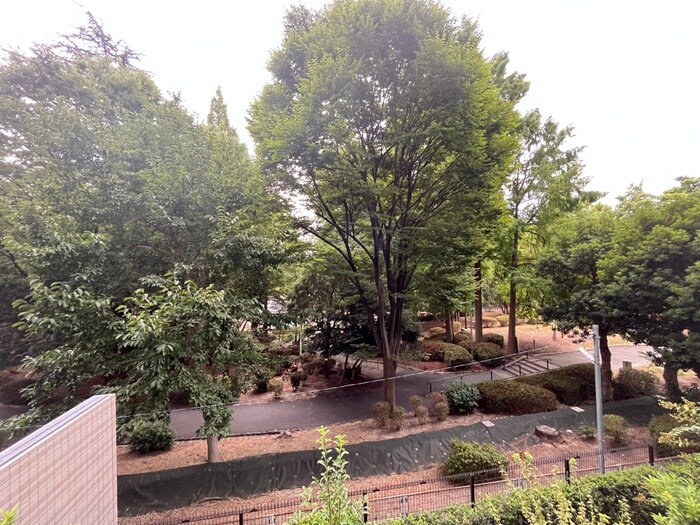 ブランズ桃山台（２０３）の物件内観写真