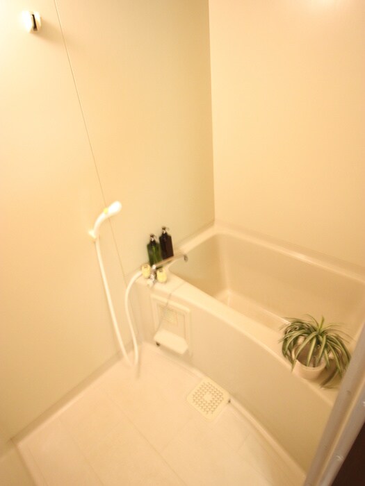 第二メゾン扇の物件内観写真