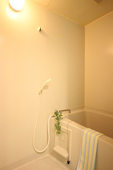 第二メゾン扇の物件内観写真