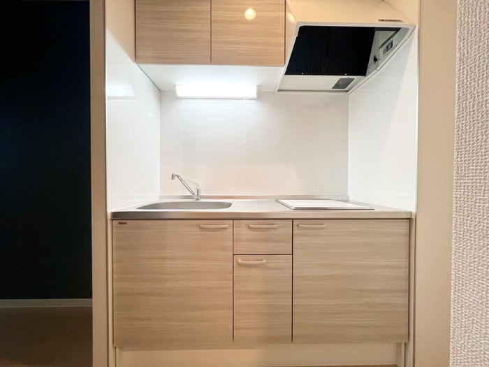 仮)F+style藤井寺道明寺1号館の物件内観写真