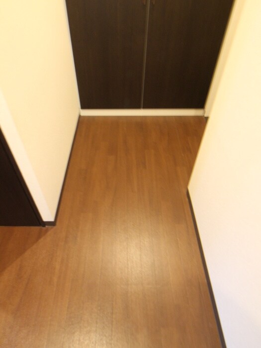 SURF ISLAND SAN SEBASTIANの物件内観写真