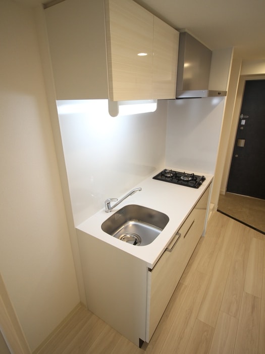 ソルテラス京都洛南の物件内観写真