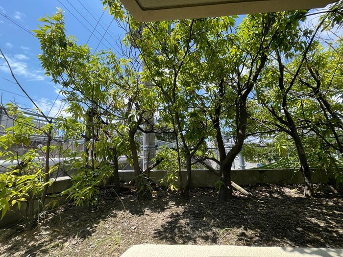 PISO ﾋﾟｿの物件内観写真