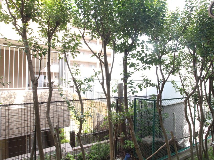 ＨＡＬ仁川の物件内観写真