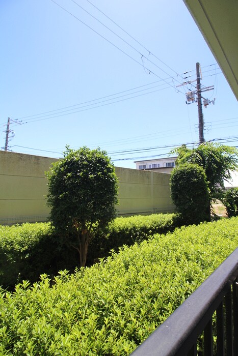 フィオ－レ白鷺の物件内観写真