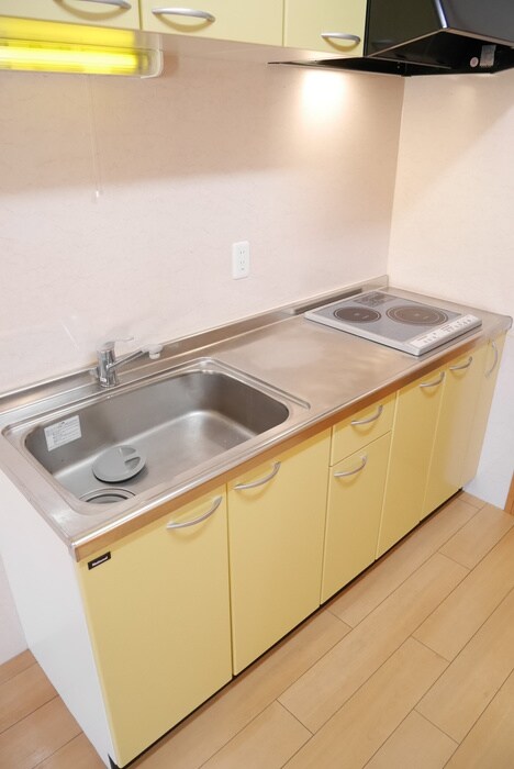 ルミノ－サ三条小川の物件内観写真