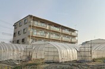 パールハイツの物件外観写真