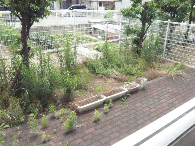 メゾン川口の物件内観写真