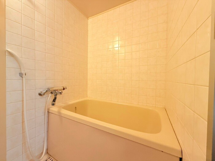 ロイヤルグレース上野東(101)の物件内観写真