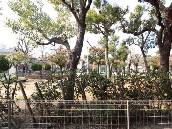 ﾄﾞｴﾙ小松SOUTHの物件内観写真