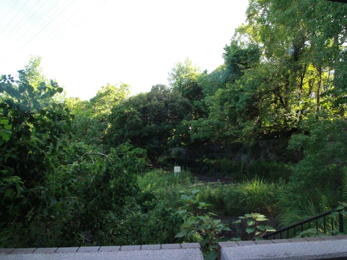 シャルレ桂坂の物件内観写真