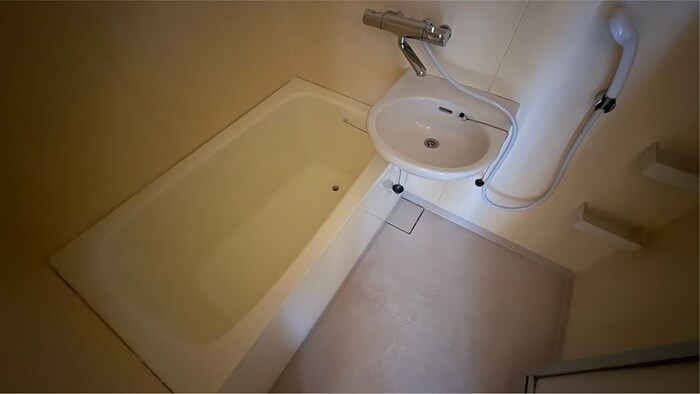 真能ハイツの物件内観写真