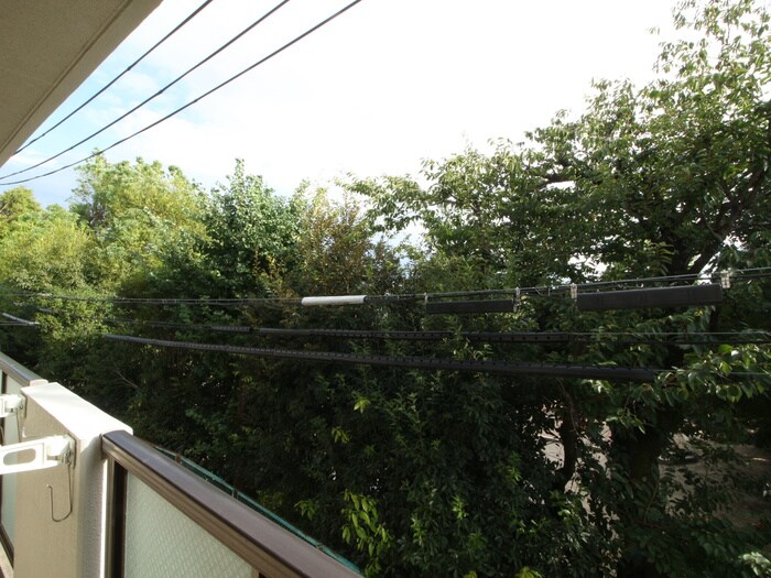 メゾン楓の物件内観写真