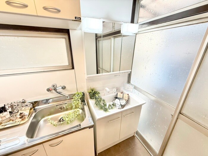 青い空と白のルピナスの物件内観写真