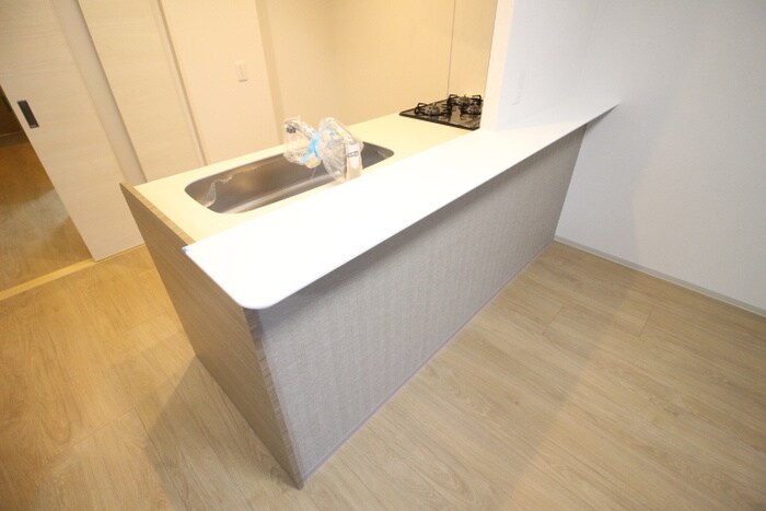 グリーンサム大久保の物件内観写真