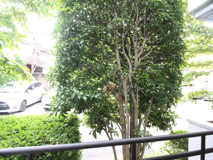 洛北館の物件内観写真