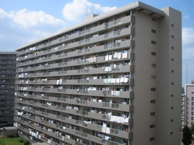 鴫野コ－ポ２号棟（５０１）の物件外観写真